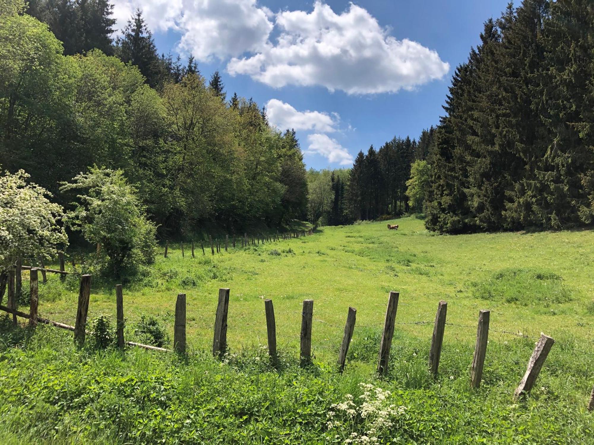 Holzhaus Onkel Fritz Mit Sauna Und Whirlwanne Esch  Ngoại thất bức ảnh